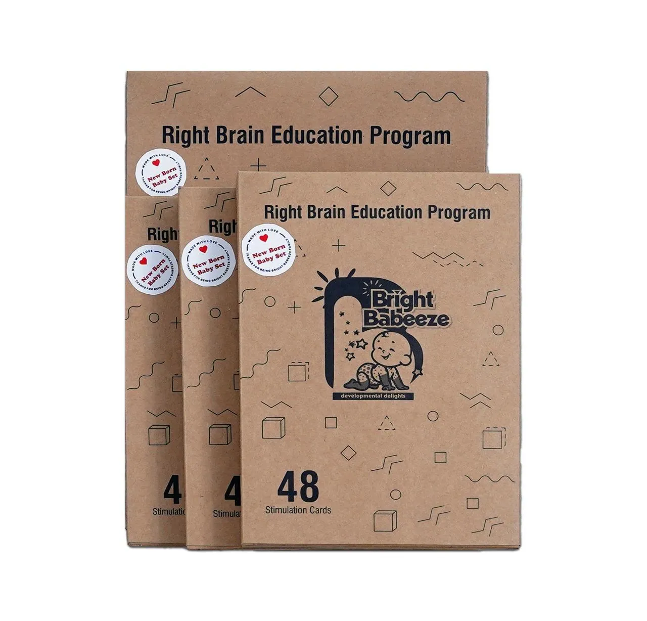 Brain Lab Activity