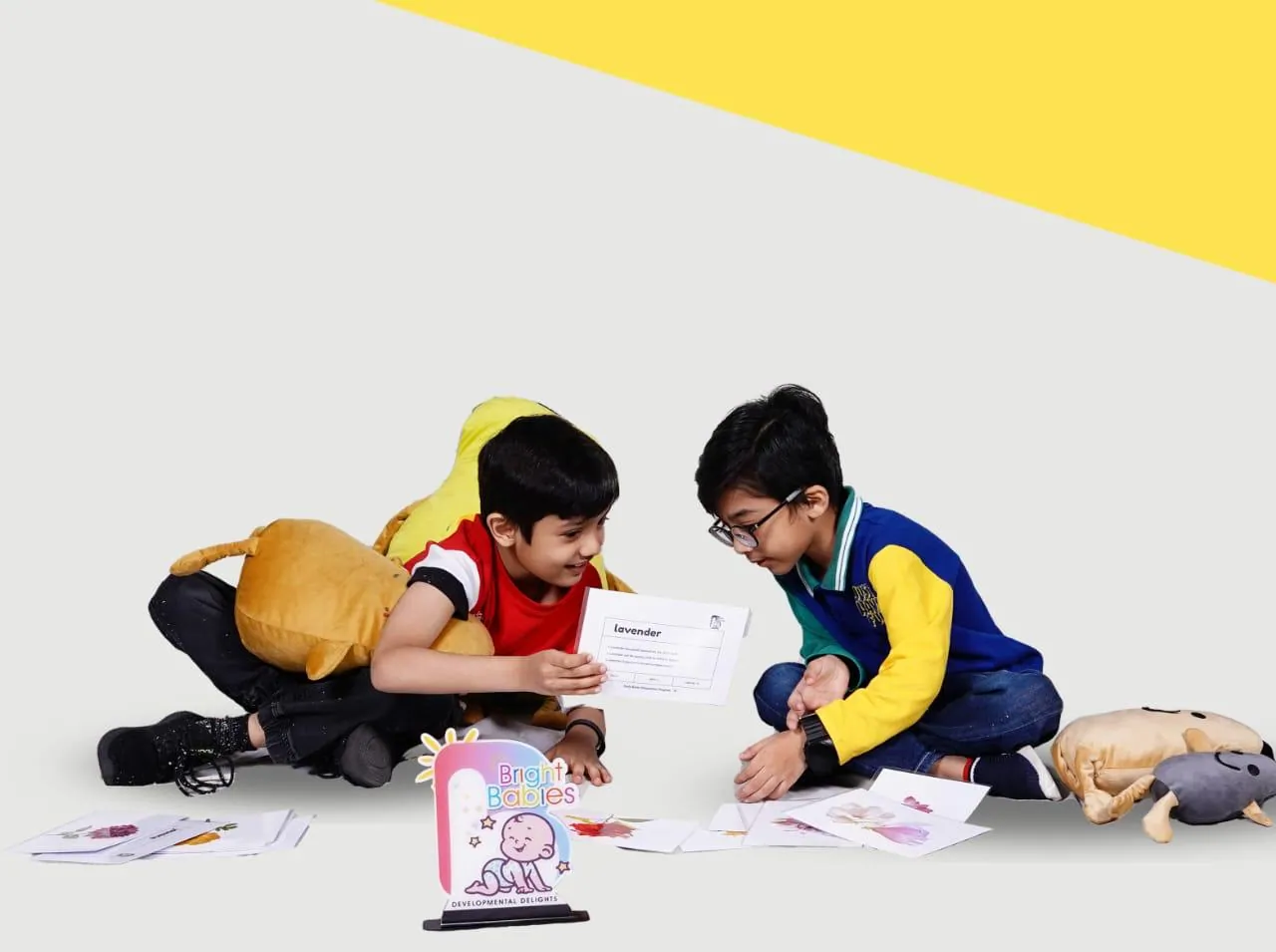 Brain Lab Activity