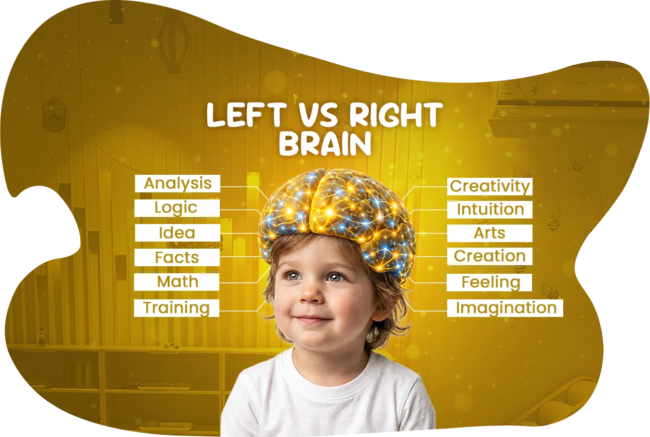 Brain lab school