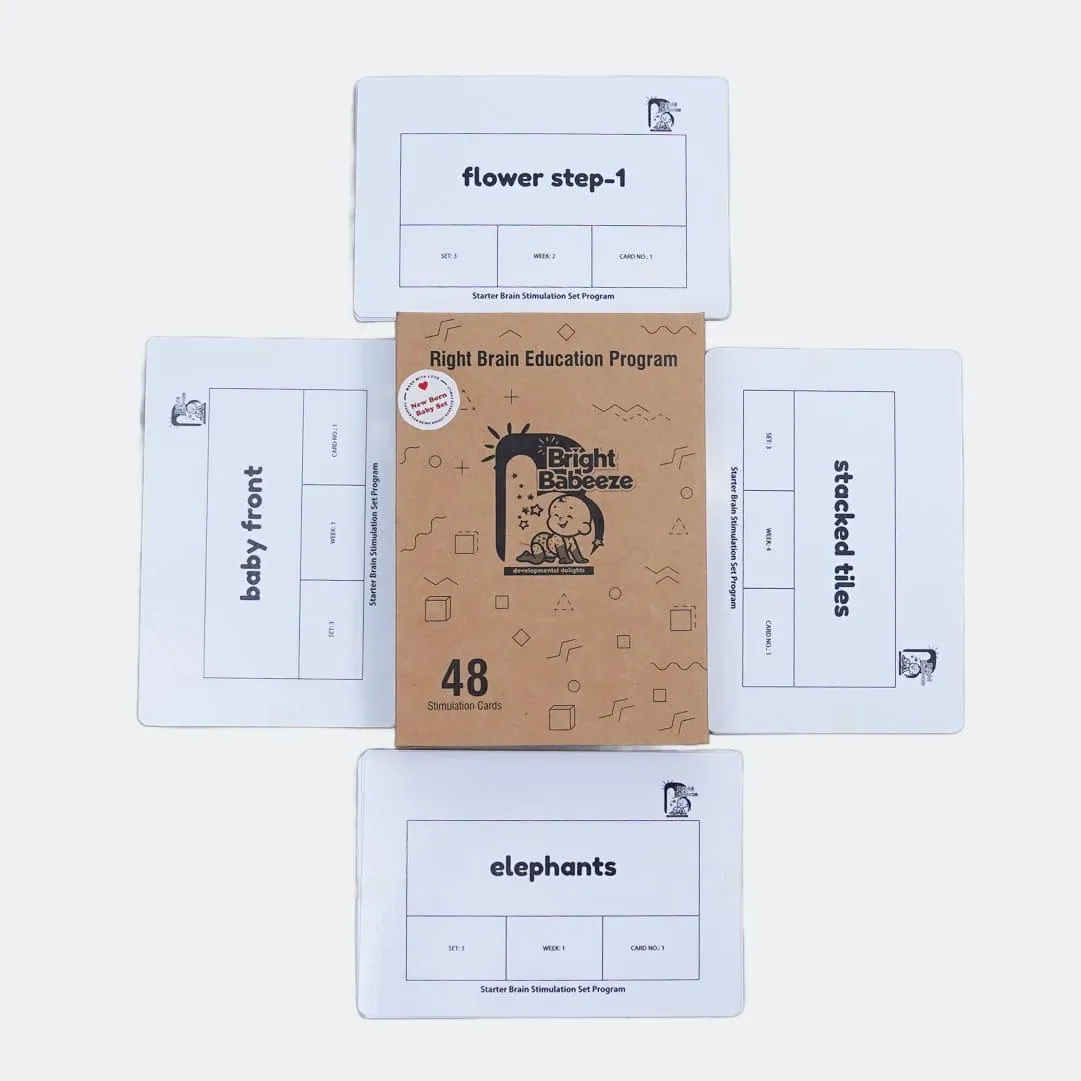 Right Brain Flash Cards