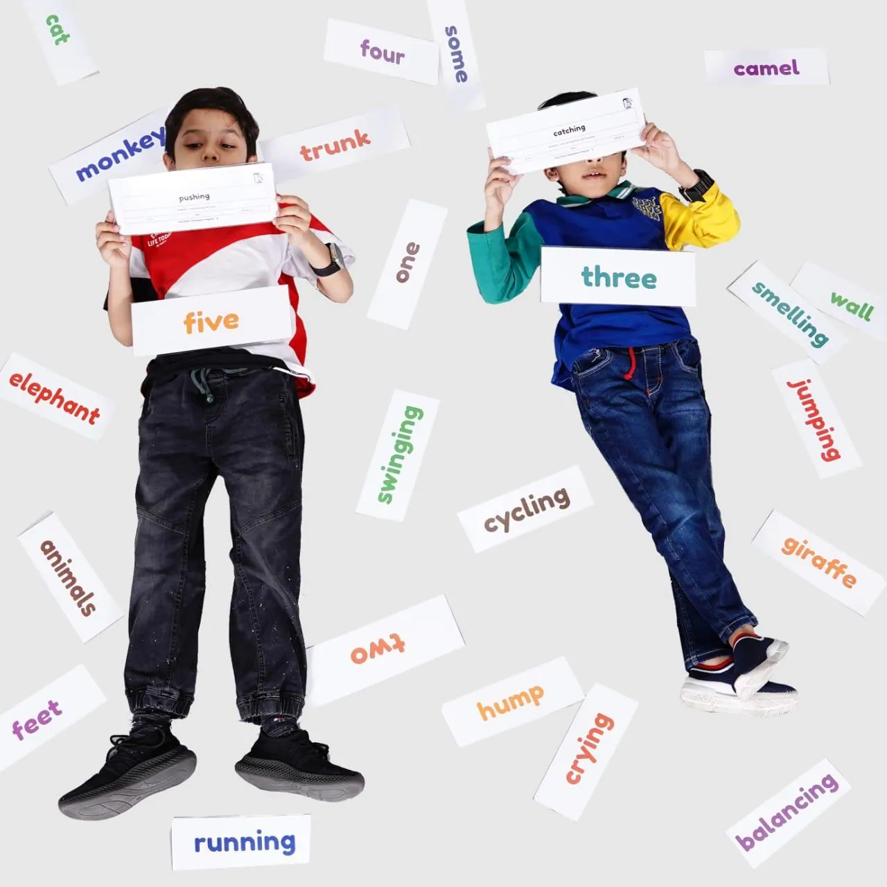 Right Brain Flash Cards