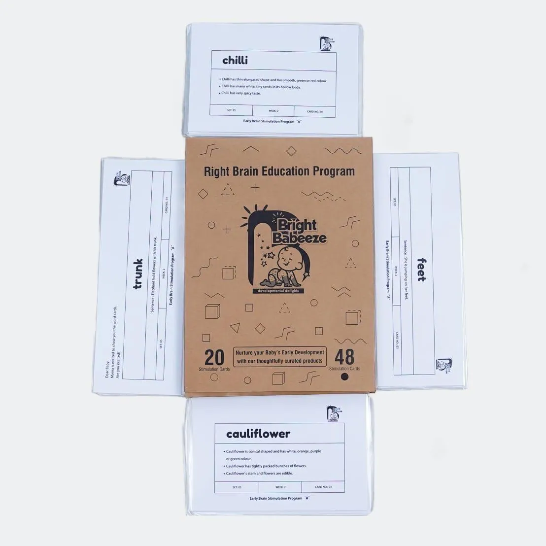 Right Brain Flash Cards