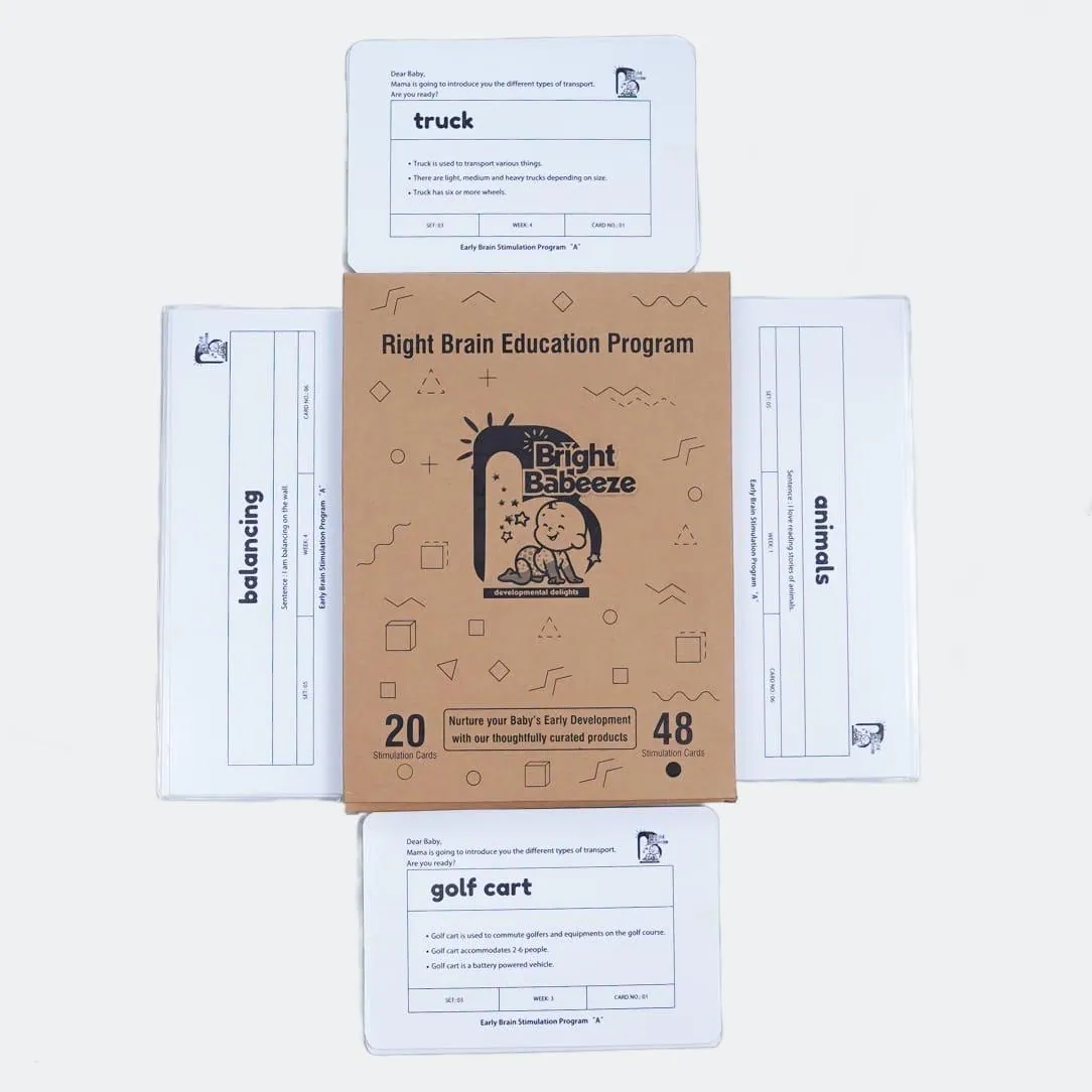 Right Brain Flash Cards