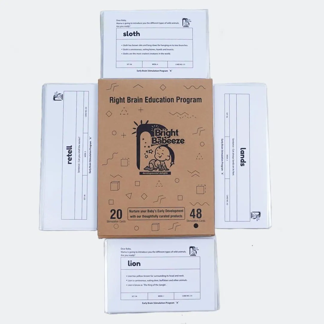 Right Brain Flash Cards