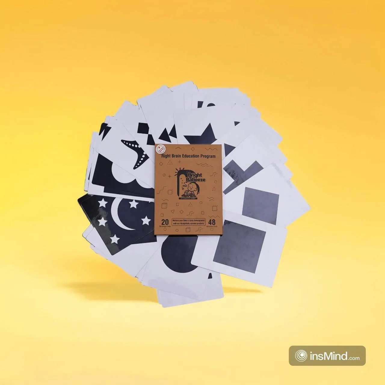 Right Brain Flash Cards
